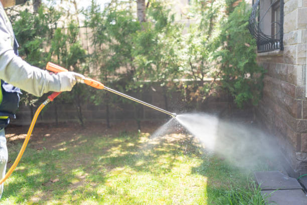 Best Lawn Pest Control  in Maysville, OK